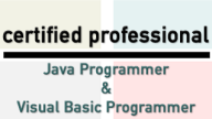 Certified Java & Visual Basic Programmer