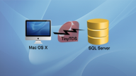 Select table names from SQL Server from a Mac via ActiveRecord and TinyTDS driver